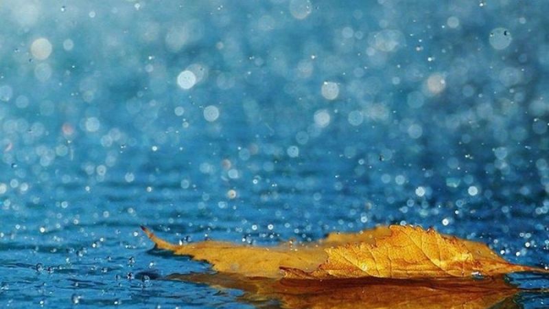Hình nền buồn tâm trạng dành cho những tâm hồn tan vỡ