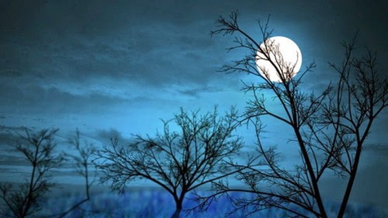 Hình nền cô đơn trầm buồn và đầy tâm sự