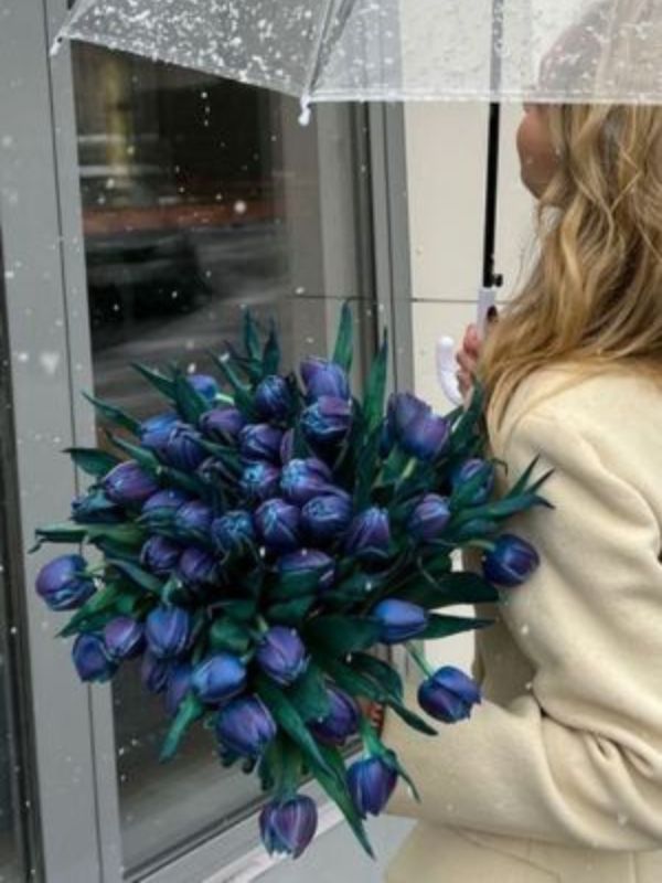Tulip đẹp hình nền hoa tulip đầy lãng mạn và tinh tế