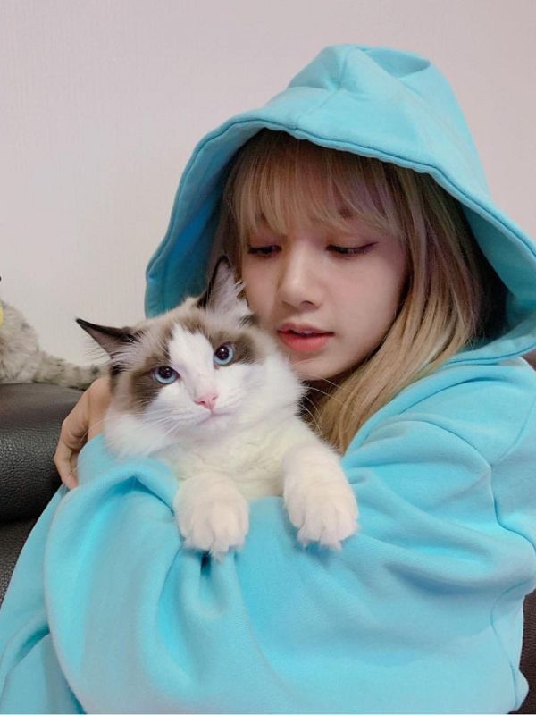 Ảnh Lisa vừa xinh yêu vừa cá tính dành cho các BLINK