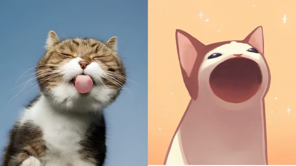 Avatar mèo ngáo ngơ ngác, hài hước dành cho Gen Z