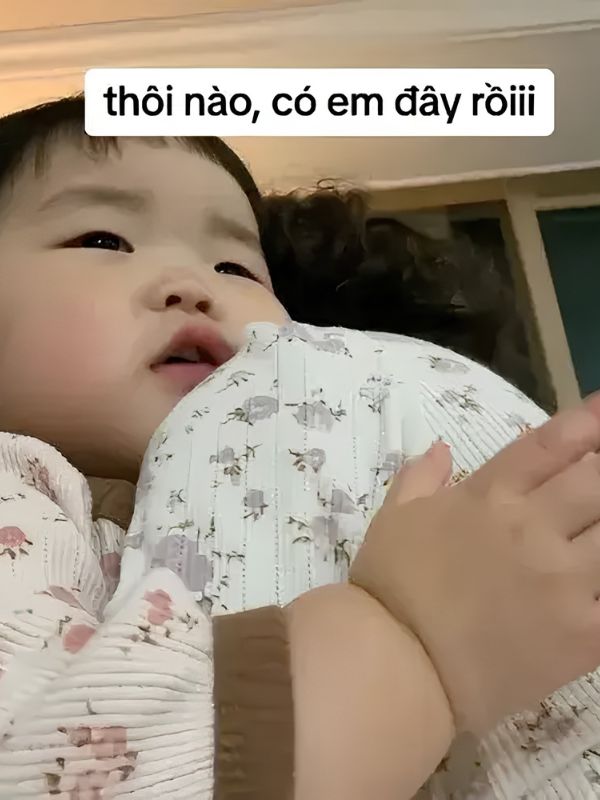 Meme an ủi - Liều thuốc vitamin tinh thần tích cực