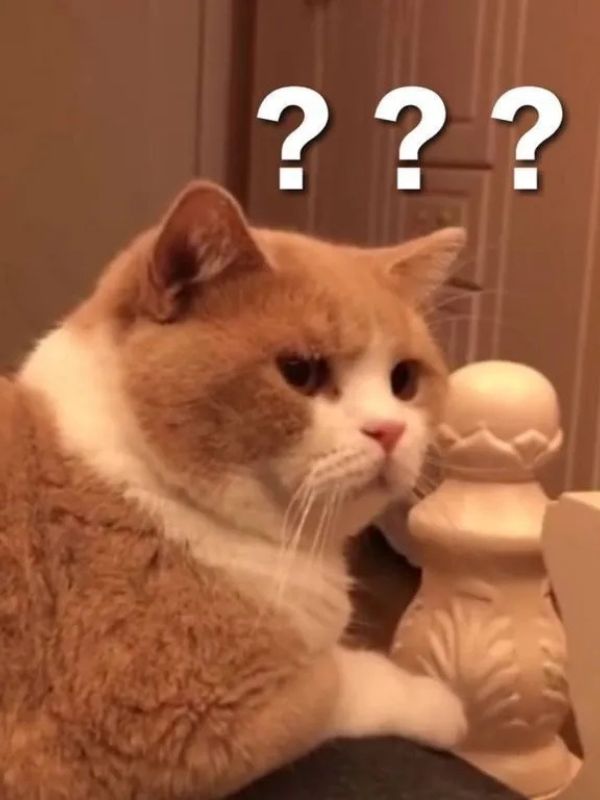 Meme bất ngờ siêu hài hước đang viral hiện nay