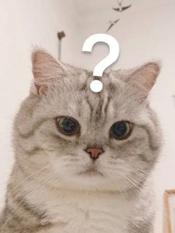 Meme bất ngờ siêu hài hước đang viral hiện nay