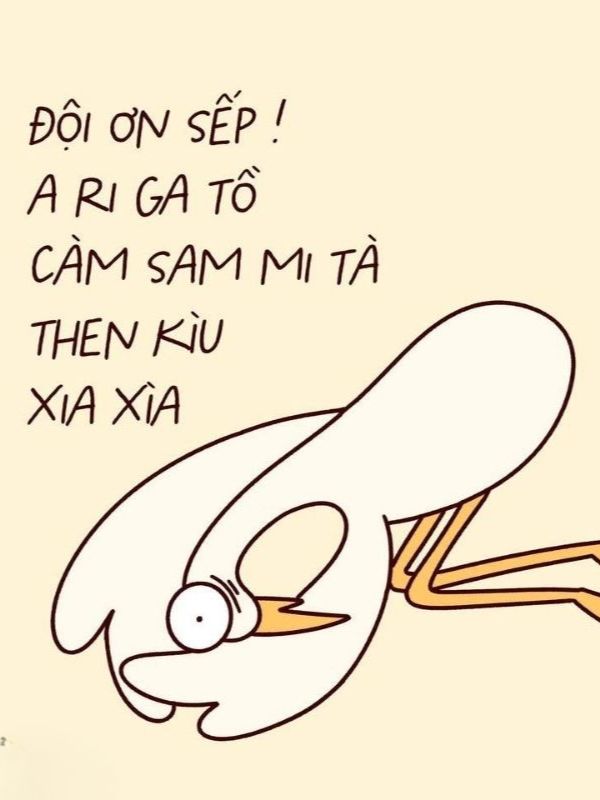 Meme cảm ơn dễ thương, hài hước và cực bá đạo