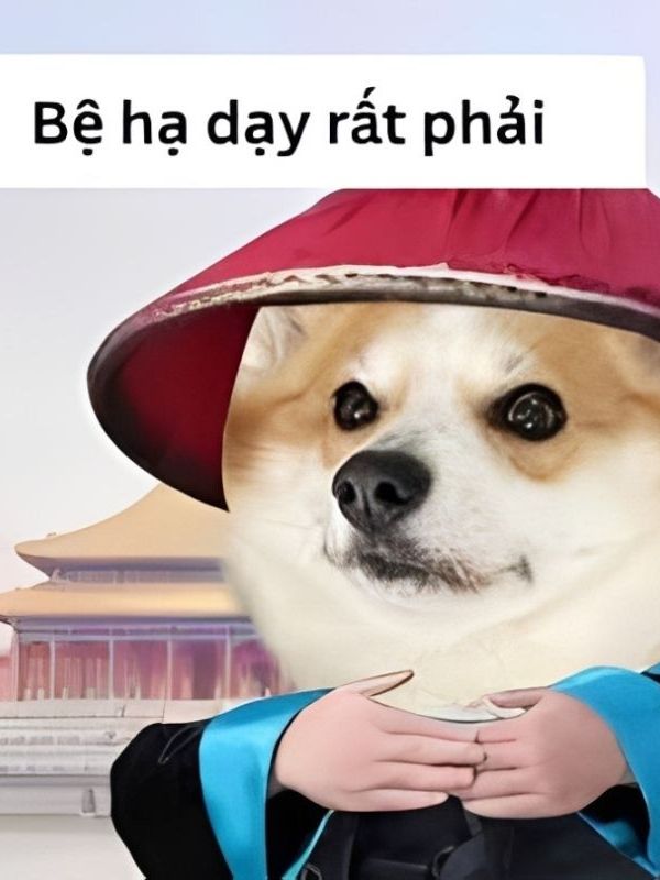 Meme cảm ơn dễ thương, hài hước và cực bá đạo