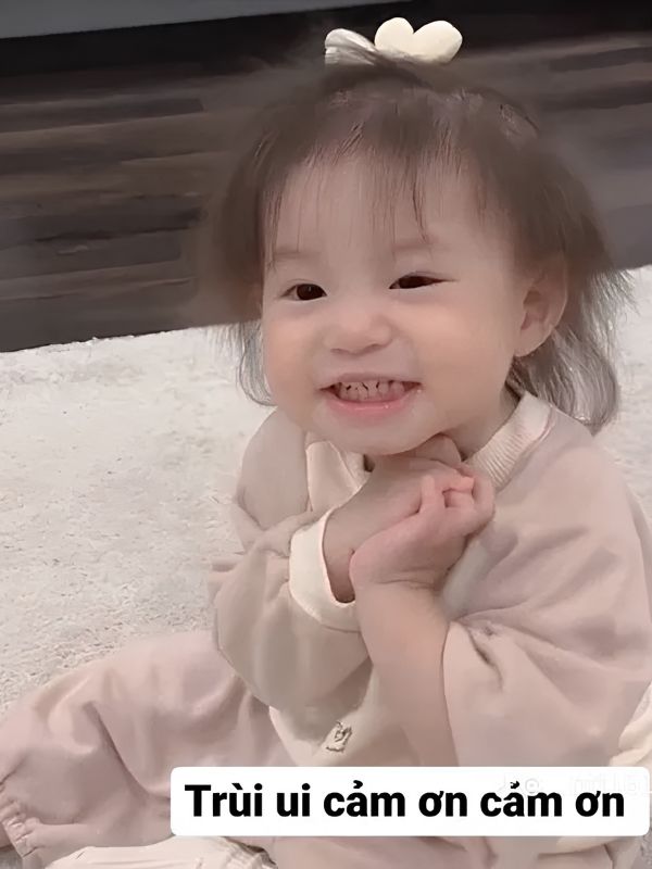 Meme cảm ơn dễ thương, hài hước và cực bá đạo