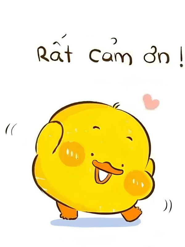 Meme cảm ơn dễ thương, hài hước và cực bá đạo