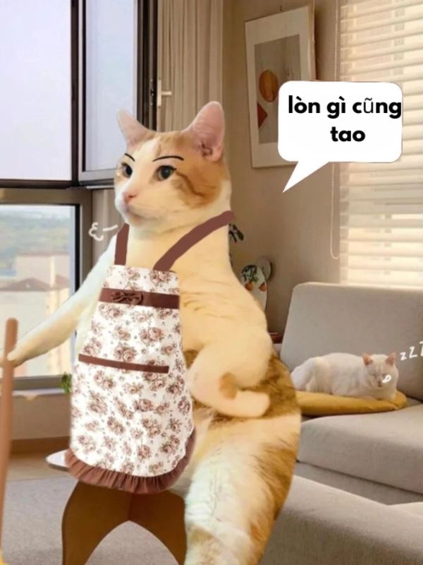 Meme chống nạnh vừa bá đạo vừa hài hước
