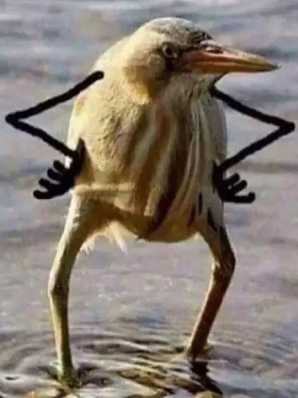 Meme chống nạnh vừa bá đạo vừa hài hước
