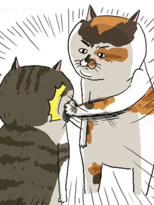 Ảnh meme đấm nhau gây ấn tượng khi cần quăng miếng