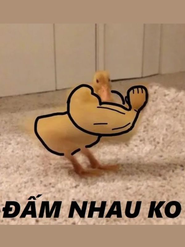 Ảnh meme đấm nhau gây ấn tượng khi cần quăng miếng