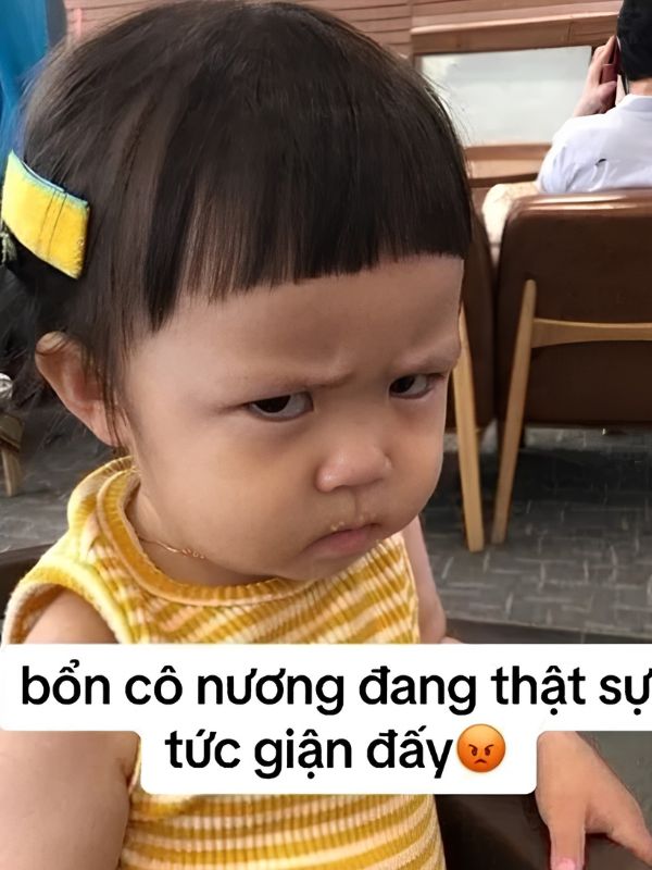 Meme giận dỗi đáng yêu, hài hước và cực giải trí