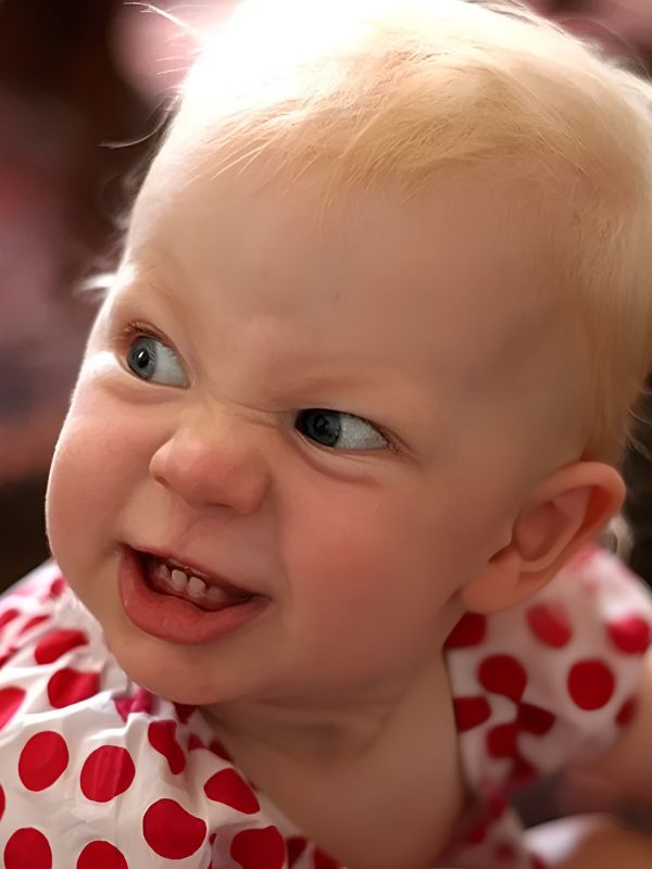 Meme giận dỗi đáng yêu, hài hước và cực giải trí