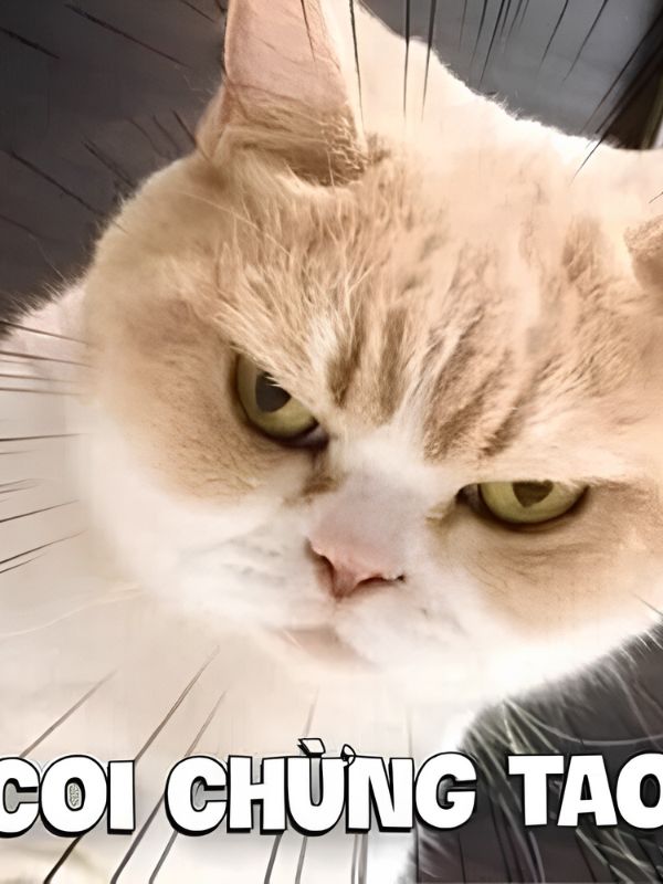 Meme giận dỗi đáng yêu, hài hước và cực giải trí