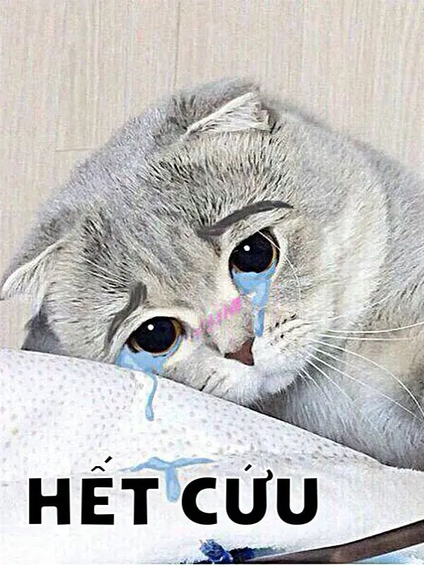 Meme hết cứu đỉnh cao giải trí, cười ra nước mắt