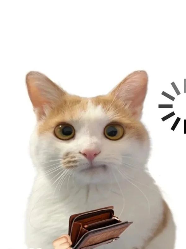 Meme hết tiền - Loạt ảnh gây cười cho hội cháy túi