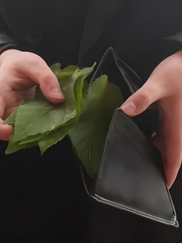 Meme hết tiền - Loạt ảnh gây cười cho hội cháy túi