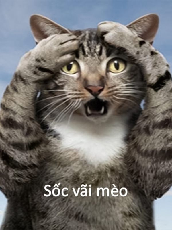 Avatar meme hoảng loạn động vật cực đáng yêu