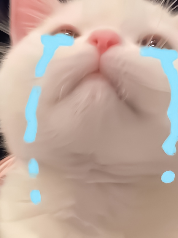 Meme khịa người yêu cực lầy