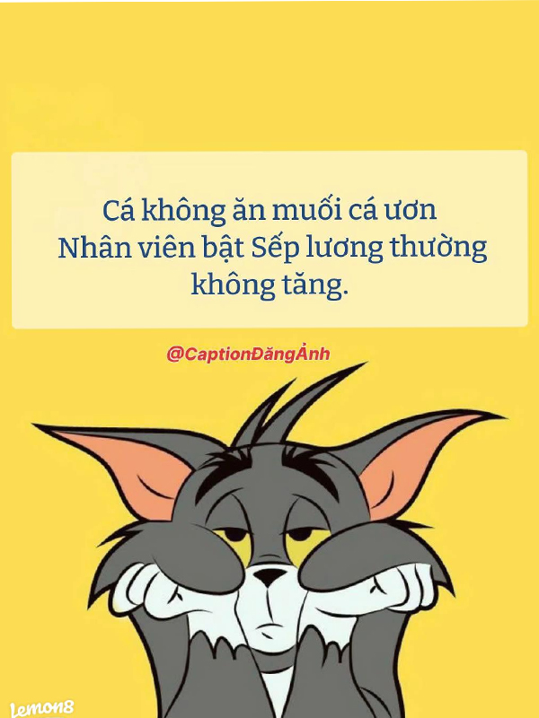 Meme khịa công việc và học tập
