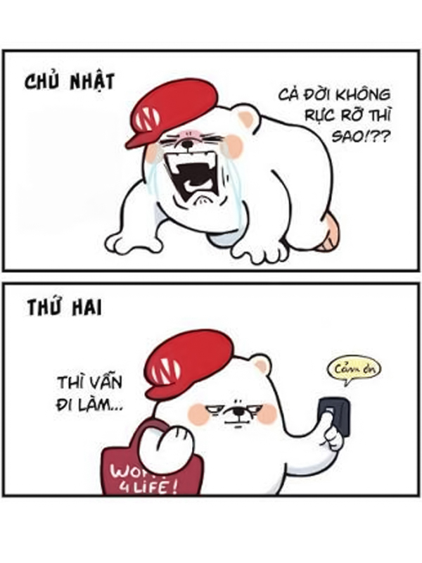 Meme khịa công việc và học tập