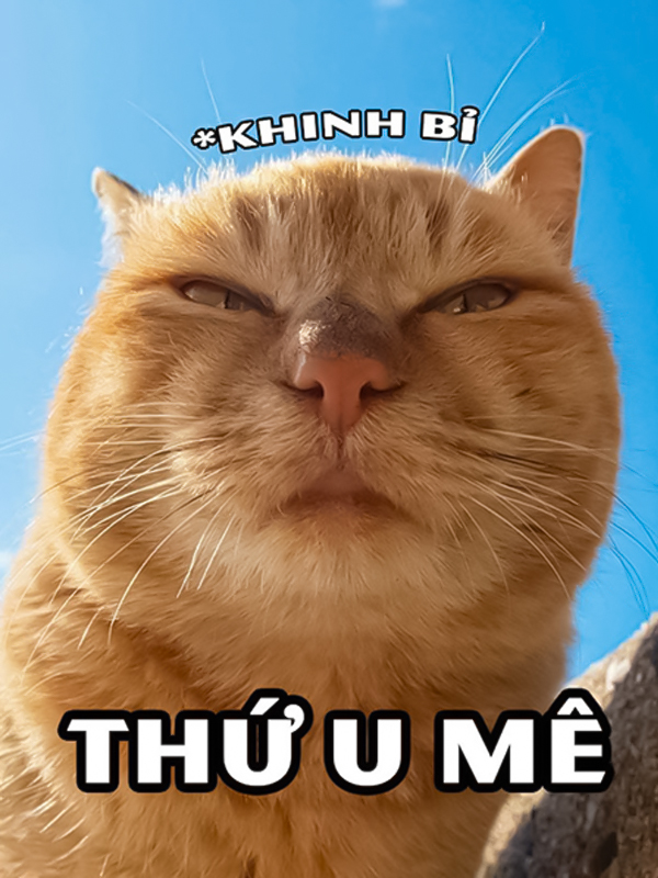 Meme khịa bằng động vật đáng yêu