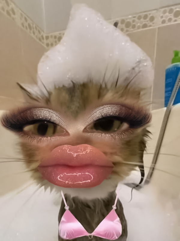 Meme khịa bạn bè hài hước