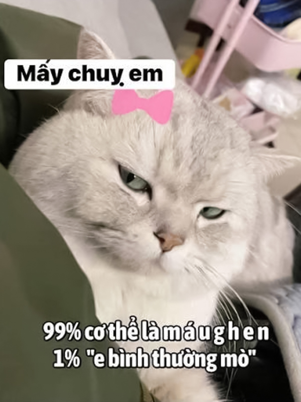 Meme khịa người yêu cực lầy