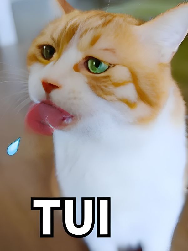 Meme khinh bỉ viral với những biểu cảm cực chất