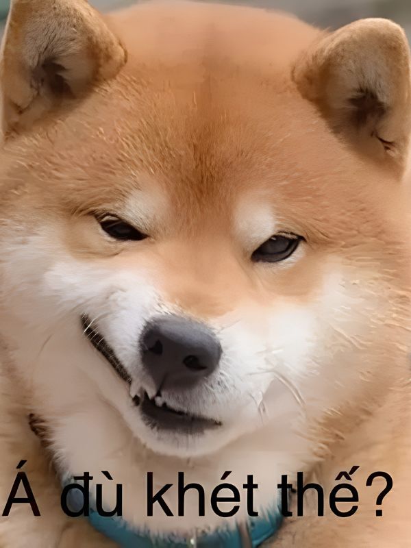 Meme khinh bỉ viral với những biểu cảm cực chất