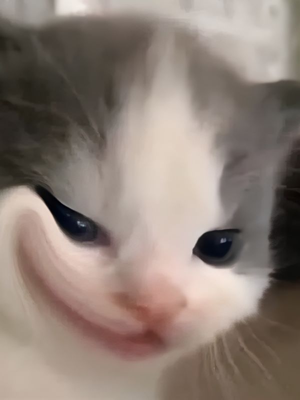 Meme khinh bỉ viral với những biểu cảm cực chất