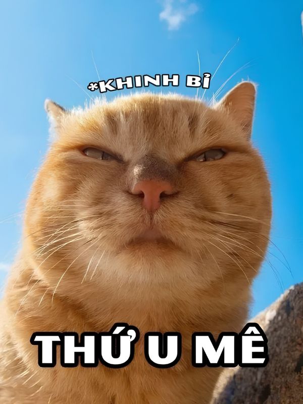 Meme khinh bỉ viral với những biểu cảm cực chất