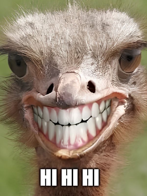 Meme khoái hài hước khiến bạn cười không ngớt
