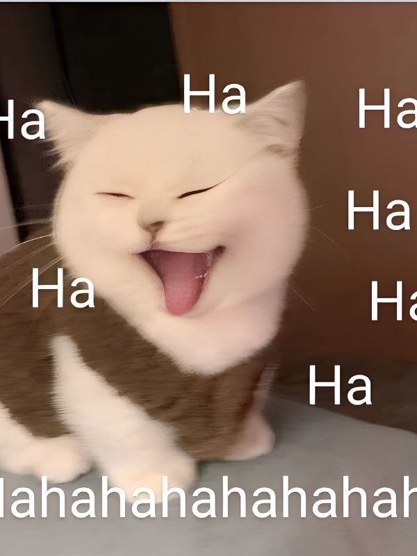 Meme khoái hài hước khiến bạn cười không ngớt