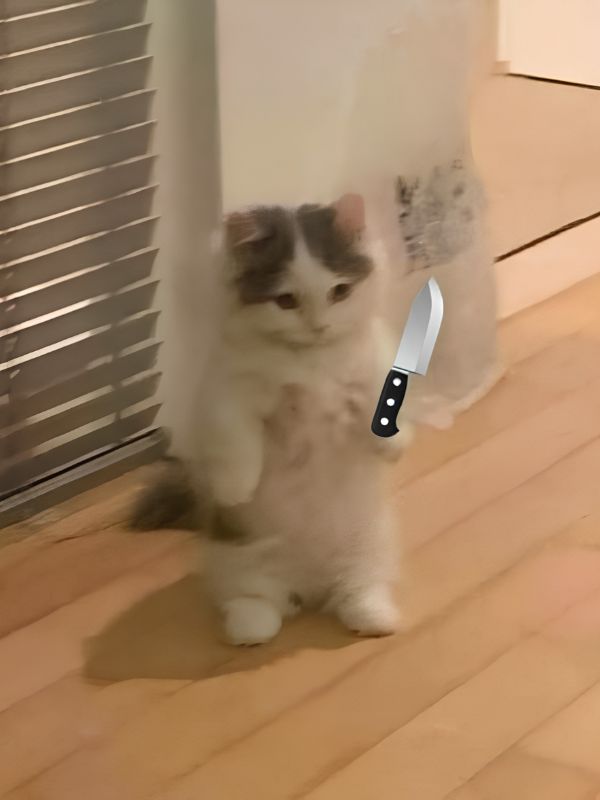 Meme mèo cầm dao cực lầy gây sốt cộng động mạng