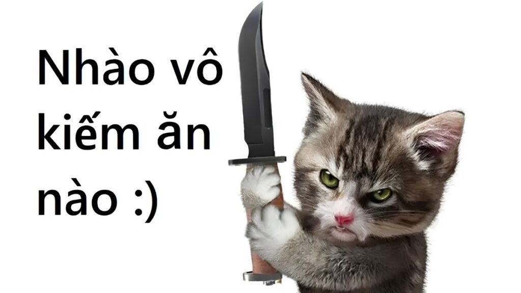 Meme mèo cầm dao cực lầy gây sốt cộng động mạng