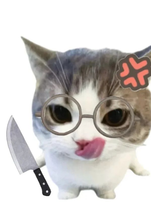Meme mèo cầm dao cực lầy gây sốt cộng động mạng