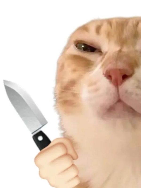 Meme mèo cầm dao cực lầy gây sốt cộng động mạng