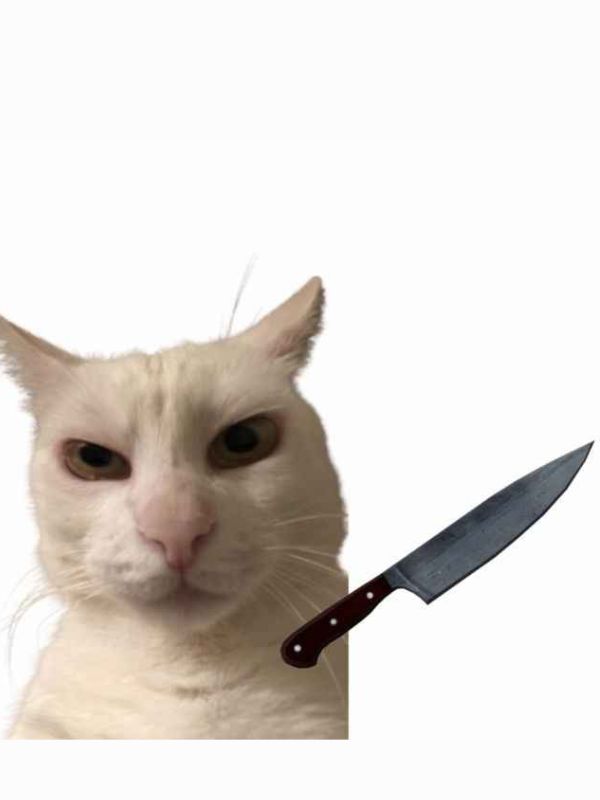 Meme mèo cầm dao cực lầy gây sốt cộng động mạng
