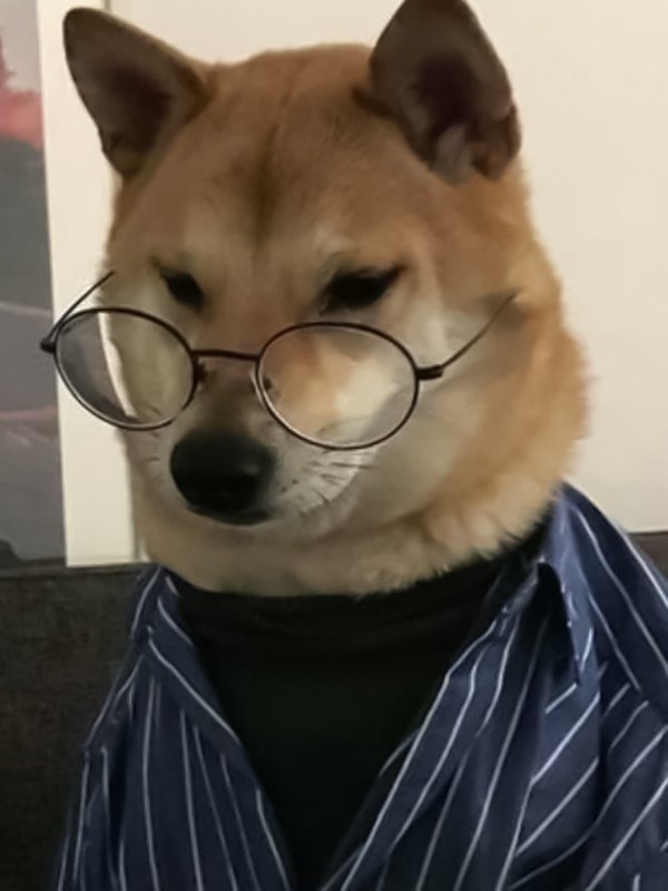 Meme ngạc nhiên của chó cực đáng yêu