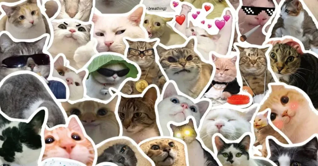 99+ Bộ sưu tập meme ngạc nhiên biểu cảm bất ngờ cực sốc Bộ sưu tập meme ngạc nhiên biểu cảm bất ngờ cực sốc