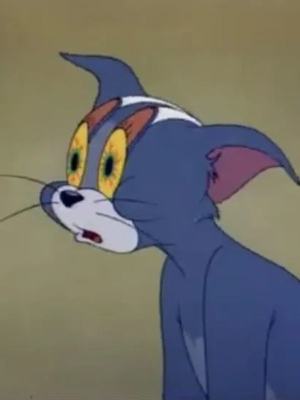 Meme ngủ hài hước giúp cuộc trò chuyện thêm thú vị