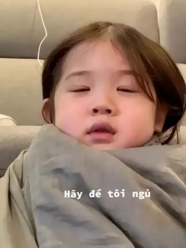 Meme ngủ hài hước giúp cuộc trò chuyện thêm thú vị