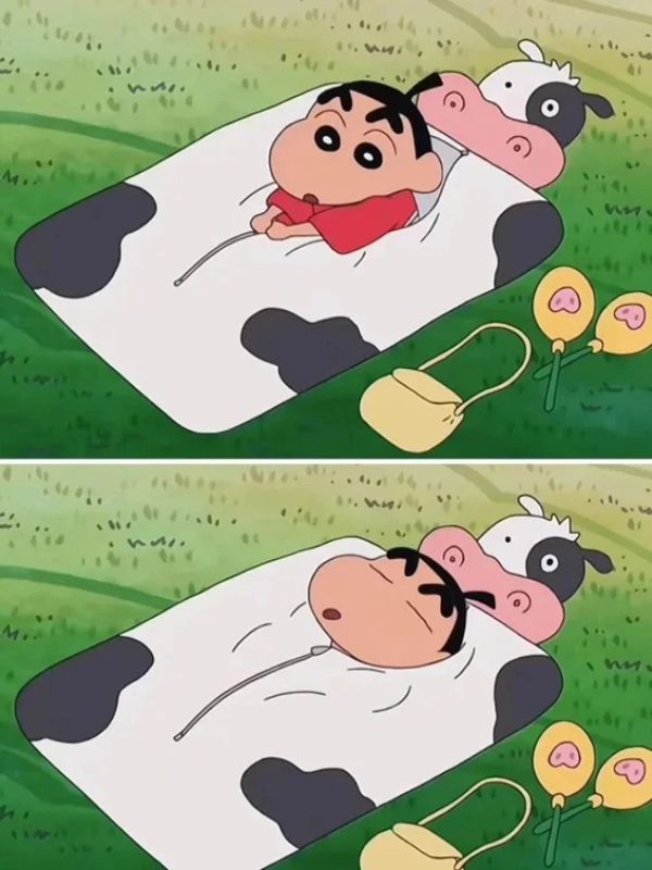 Meme ngủ hài hước giúp cuộc trò chuyện thêm thú vị