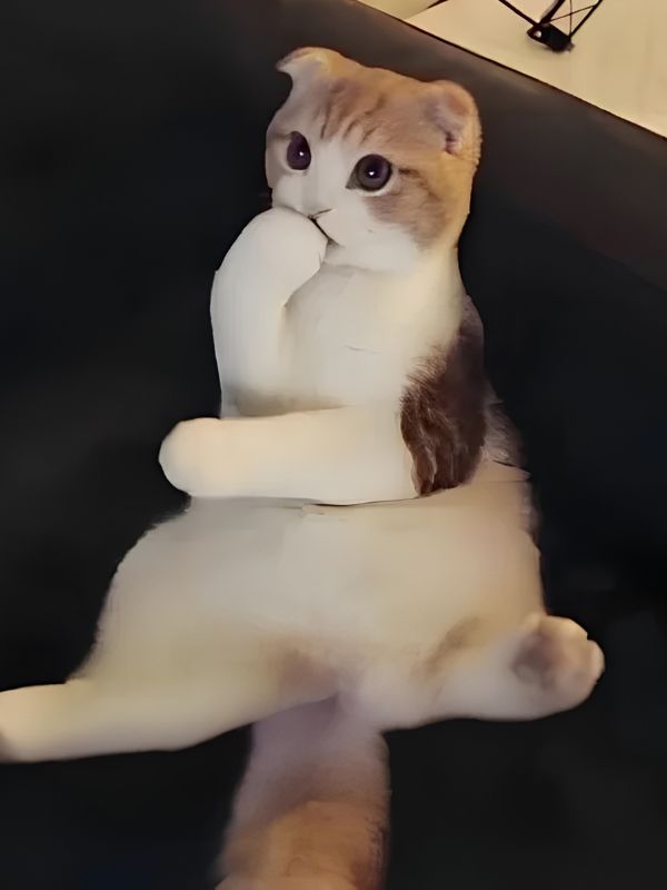 Meme suy nghĩ bá đạo, hài hước đang viral hiện nay