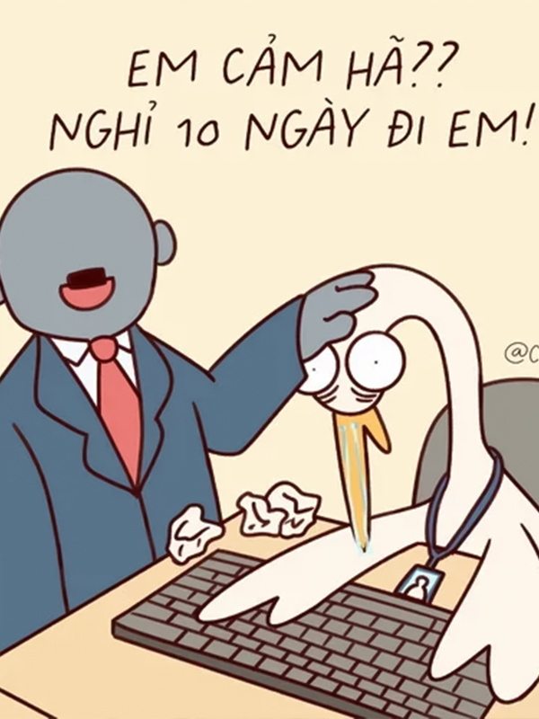 Avatar meme thiếu ngủ dân văn phòng