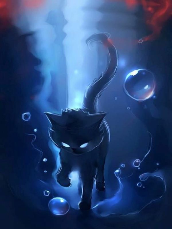 Ảnh mèo đen Heinz anime vô cùng dễ thương và sinh động